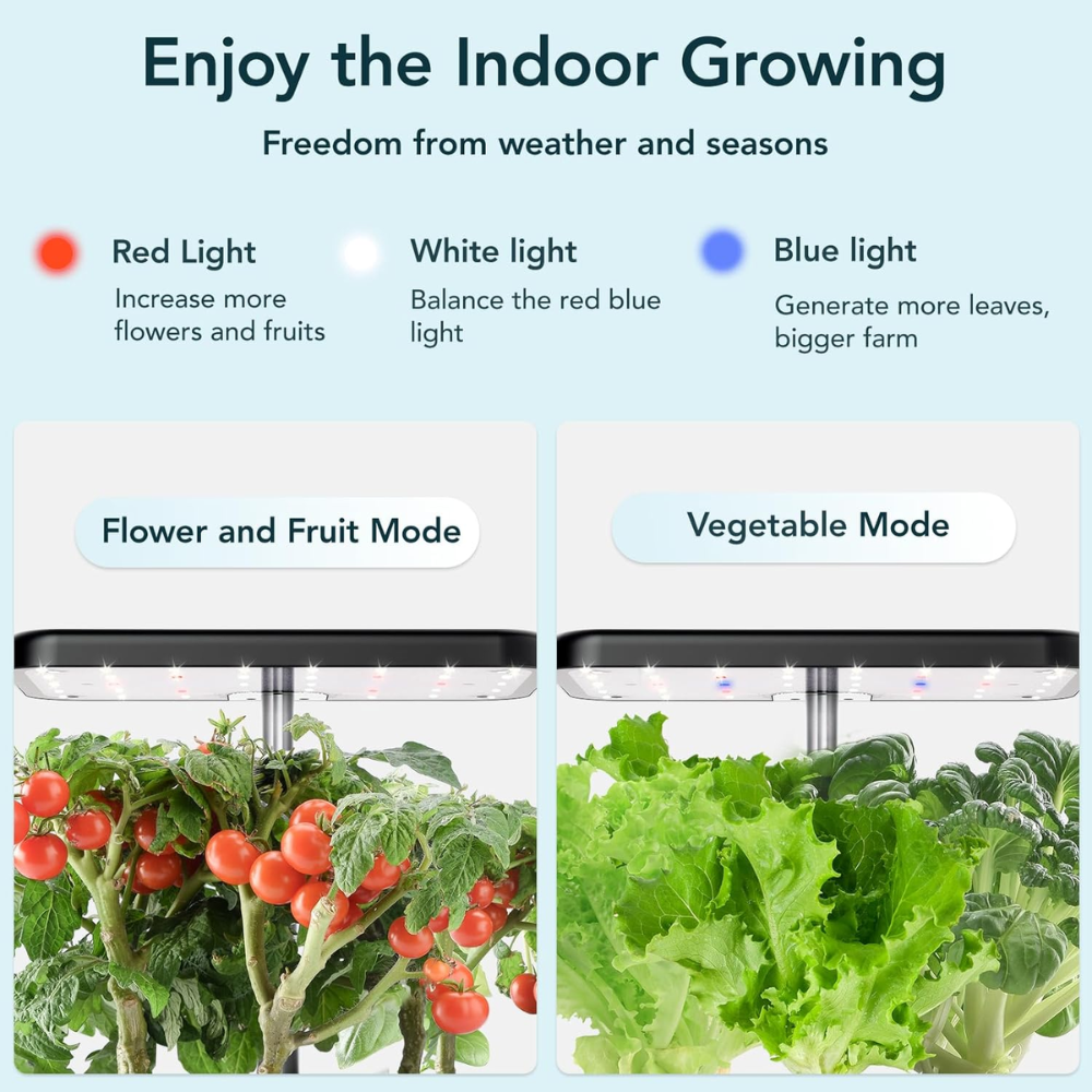 Home Garden with Seed Sprouter Tray