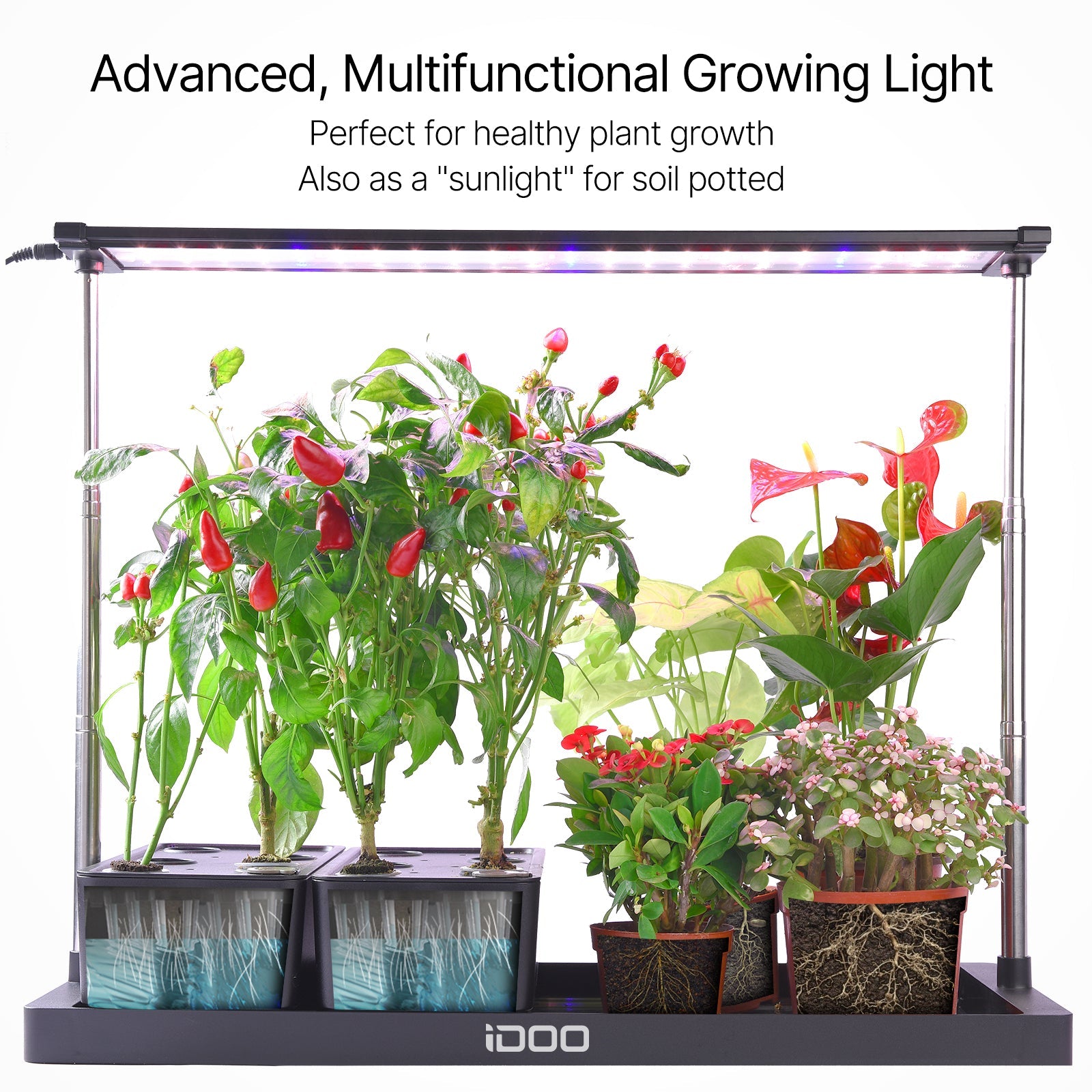 iDOO 20Pods Indoor Herb Garden Kit - Hydroponic Growing System Hydroponic Growing Systems by idoogroup